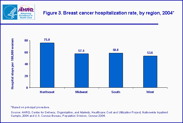 Figure 3. Bar chart showing breast cancer hospitalization rate, by region, 2004*